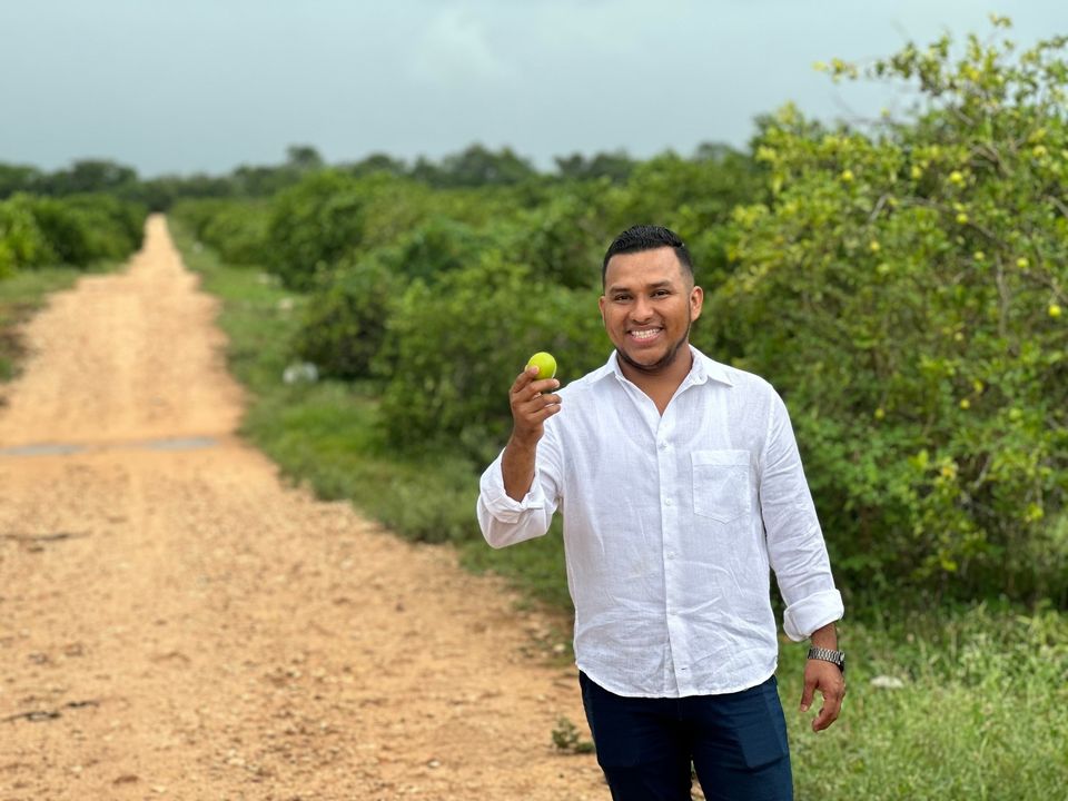 Citrus Patrimonial-¿Es Confiable?