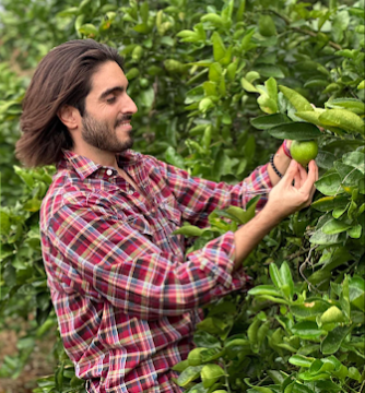Citrus Patrimonial Confiable- comercializamos