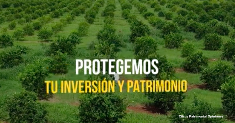 Citrus Patrimonial Opiniones: Inversión en tu Futuro