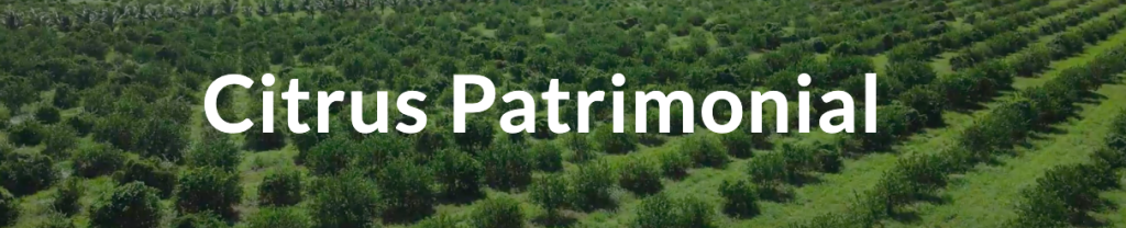 Citrus Patrimonial Opiniones: