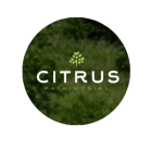 “Escucha las Opiniones, Confía en Citrus Patrimonial para tus Inversiones.”